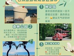 -日照灯塔风景区