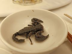 -山泉公馆酒家(珠江新城店)