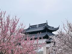 -苏州上方山国家森林公园