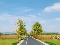 -良渚古城遗址公园