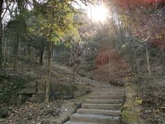 -上海佘山国家森林公园天马山园