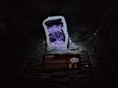 -正佳自然科学博物馆