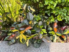 -中海环宇荟