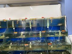 -雅逸居海鲜小厨