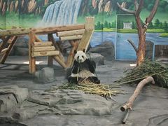 -秦皇岛野生动物园