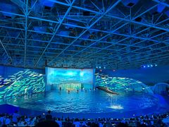 -海合安青岛极地海洋公园