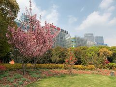 景点-北外滩滨江绿地