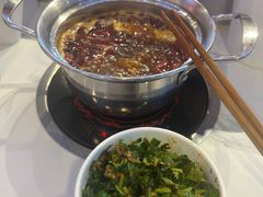 -锅知鲜自助火锅(武侯吾悦广场店)
