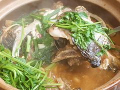 -九道菜有鸡鱼头(石鼓路店)