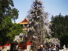 -北京国子监胡同
