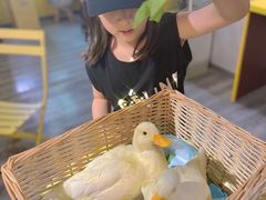 -浣熊柯尔鸭土拨鼠·电玩咖