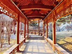 -迎泽公园