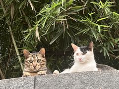 -獅頭牌卤味研究所(保利叁悦店)