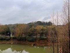 -天目湖御水温泉·度假酒店