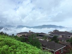 -江南天池