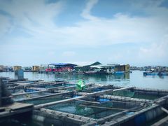 -海上驿站渔家菜馆