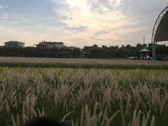 -广州花之恋城堡酒店