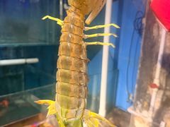 -辉记炭烧海鲜大排档·老字号(福田店)