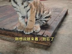 -上海野生动物园