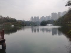 -重庆彩云湖湿地公园