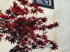 -郭庄景区