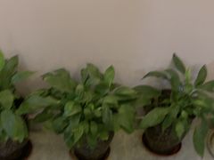 -怡心阁·水疗SPA(天府广场店)