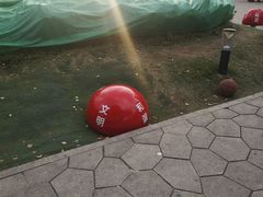 -牛岗山公园
