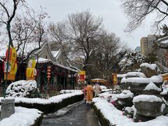 -白家大院·王府宫廷菜(苏州街店)