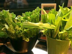 -手选潮汕鲜活牛肉火锅(二七广场店)