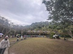 -野象谷景区