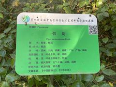 -广东中医药博物馆