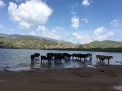 景点天池-芦芽山旅游度假区