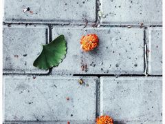 -长椿街(地铁站)