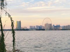 -长广溪湿地公园
