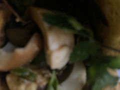 -刘小武·锅魁(总店)