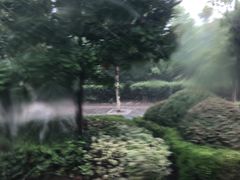 -天鹅湖体育公园