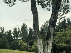 -府河摄影公园