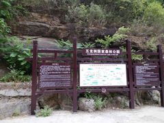 -五龙洞国家森林公园