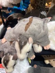 -Zoolung Zoolung动物主题公园(海信广场店)