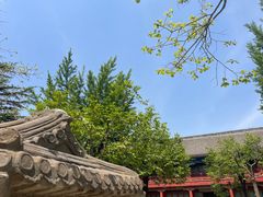 -北京石刻艺术博物馆(五塔寺)