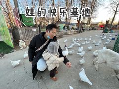 -1982农场