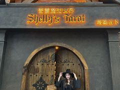 -雪灵魔法世界SHELLY’S TAROT(大良桂畔里店)