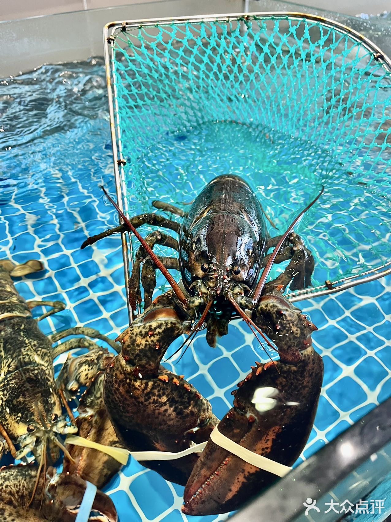 爱上这里的味道了！爱到不能自拔的那种！