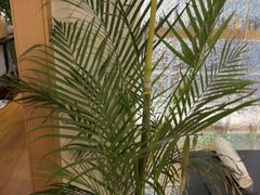 -沐森 •疗愈头疗馆(打浦桥店)