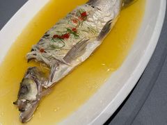 太湖野生大白鱼-淮扬府(安定门店)