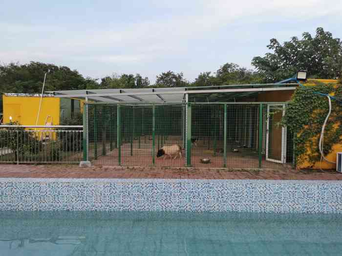 初心宠物寄养训练度假村-"【项目】洗澡 | 寄养 | 训练初心宠.