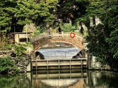 -荔湾湖公园