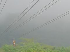 -呀诺达热带雨林