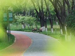 -大兴滨河森林公园