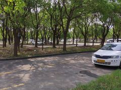 -安飞驰驾校·学车连锁(金高店)